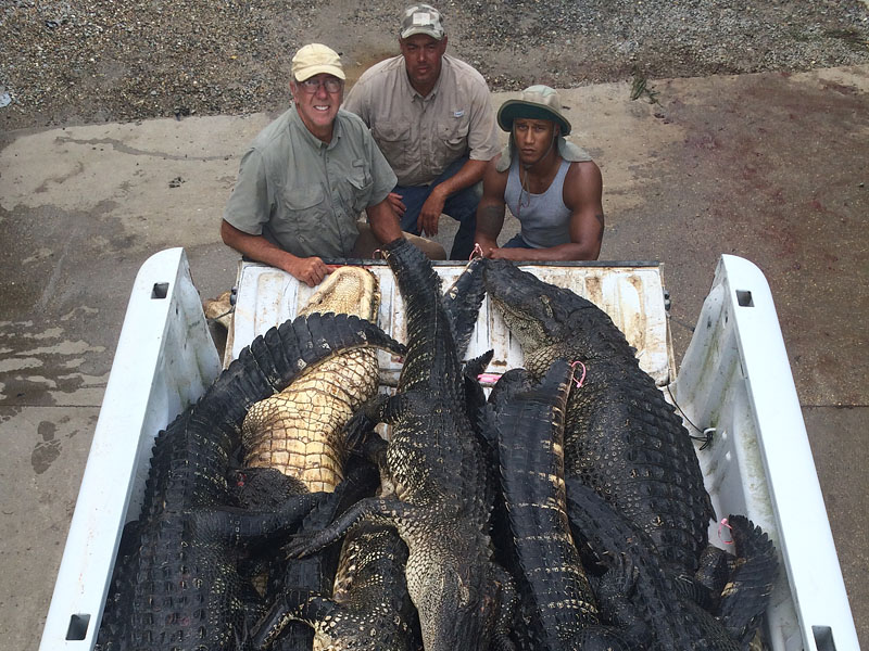 Daniel, Joey & Dorien With The Day's Catch of Alligators