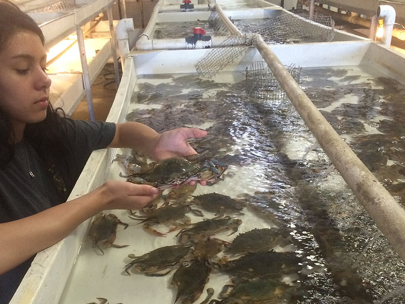 We Monitor & Control All Phases of the Soft Shell Process